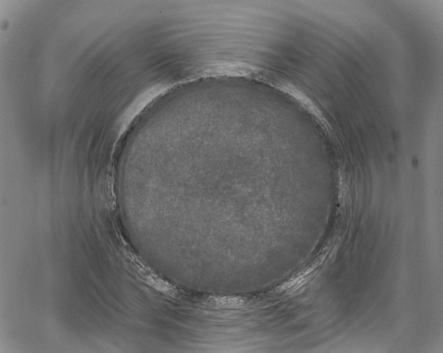 X0000067900878200604201332