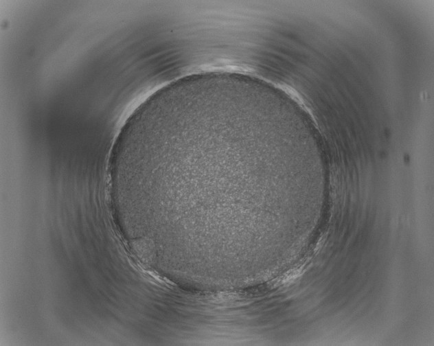 X0000067900879200604201332