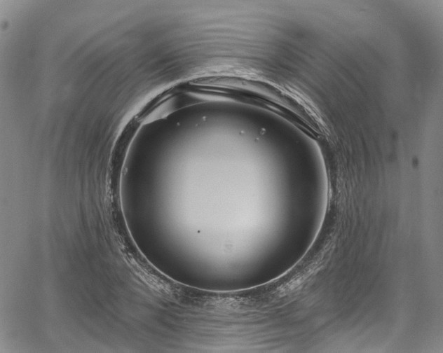 X0000067900880200604201332