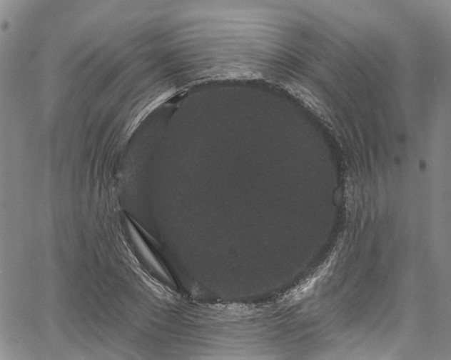 X0000067900881200604201332