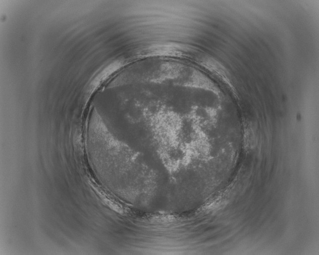 X0000067900882200604201332