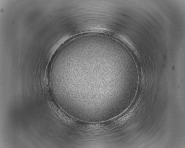 X0000067900883200604201332