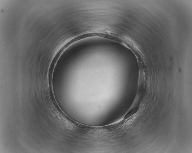 X0000067900884200604201332