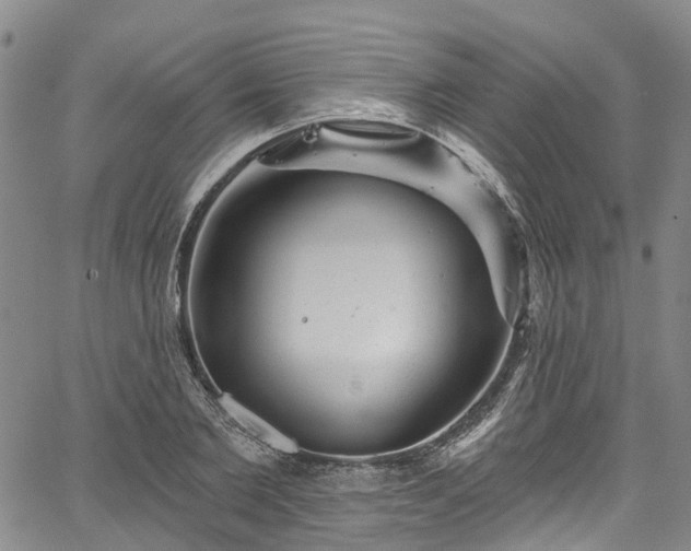 X0000067900885200604201332