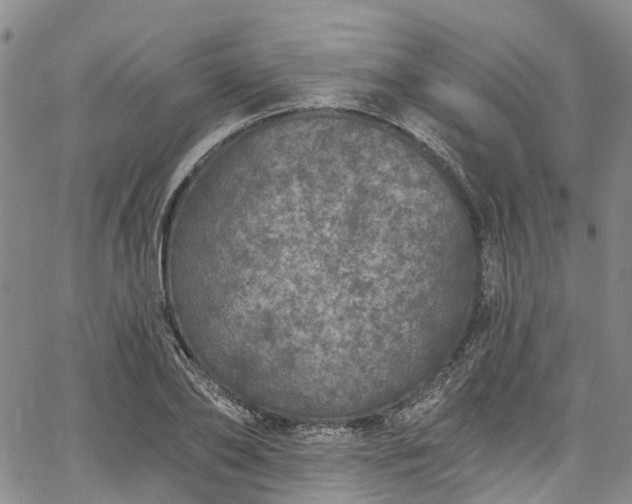 X0000067900886200604201332