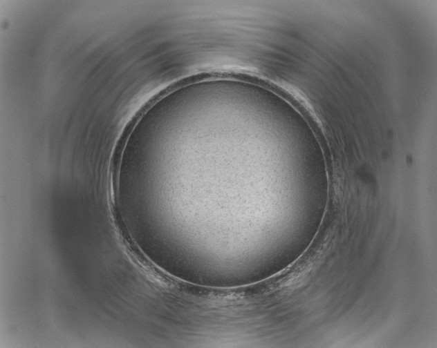 X0000067900887200604201332