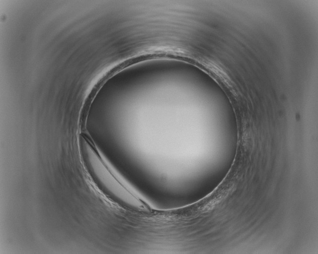 X0000067900888200604201332