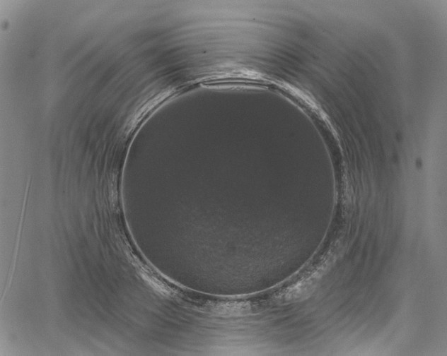 X0000067900889200604201332