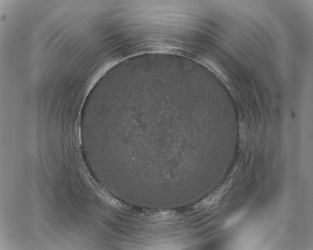 X0000067900891200604201332