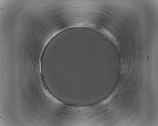 X0000067900892200604201332