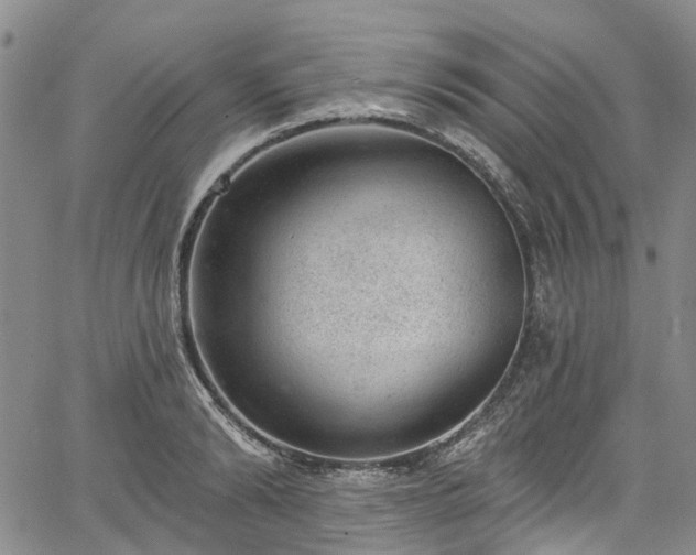 X0000067900894200604201332