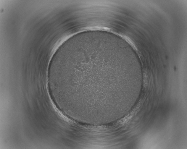 X0000067900895200604201332