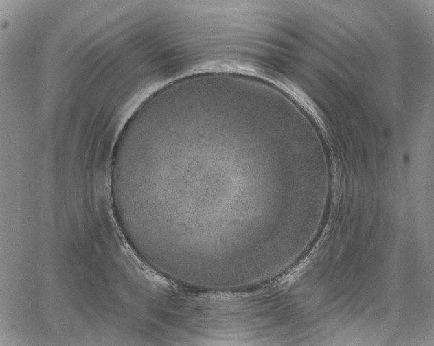 X0000067900896200604201332