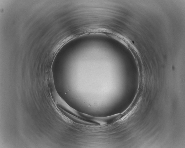 X0000067900897200604201332