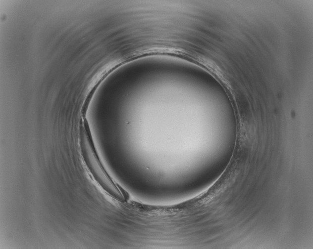 X0000067900898200604201332