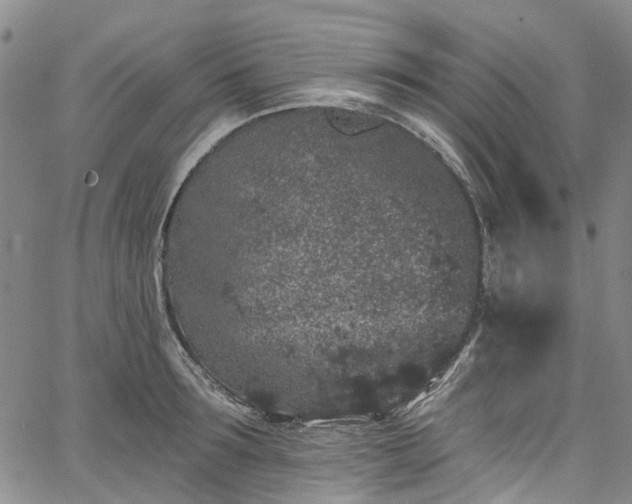 X0000067900899200604201332