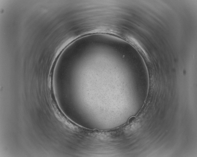 X0000067900900200604201332