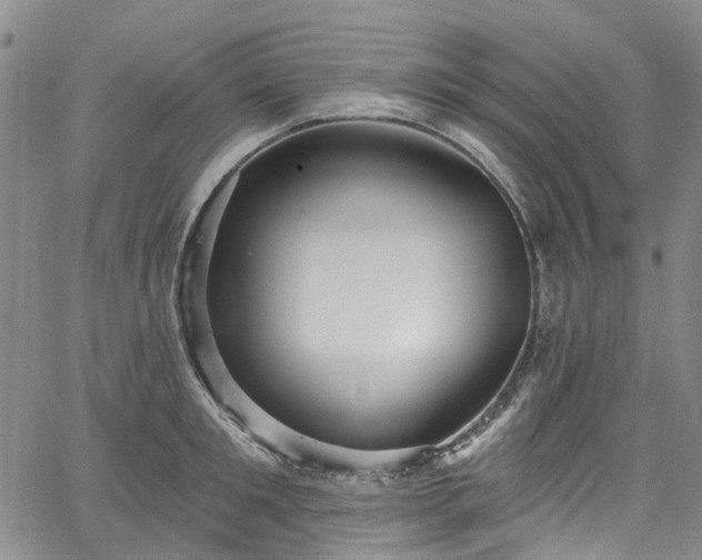 X0000067900901200604201332