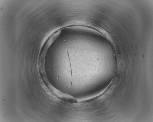 X0000067900904200604201332