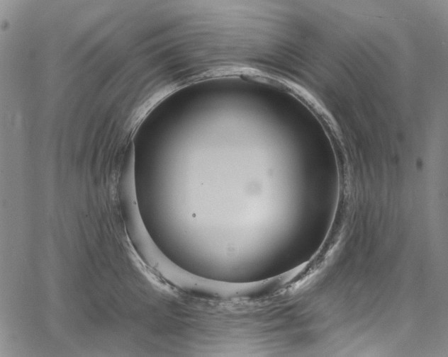 X0000067900905200604201332