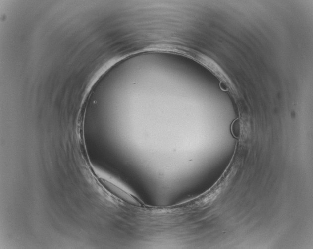 X0000067900908200604201332