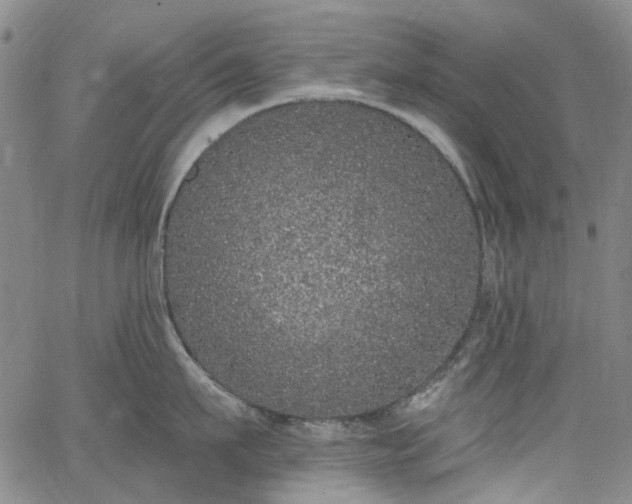 X0000067900911200604201331