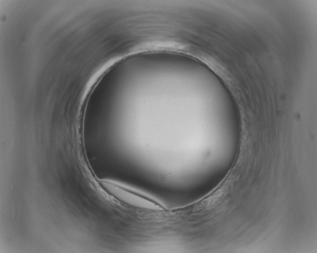 X0000067900912200604201331