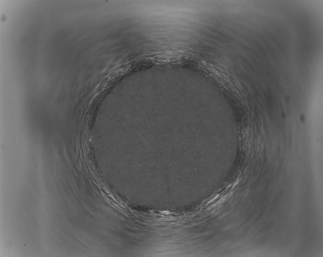 X0000067900913200604201331