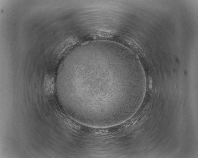 X0000067900915200604201331