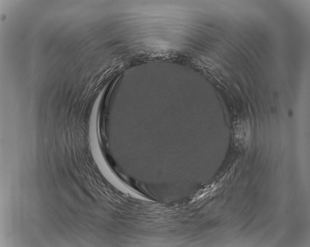 X0000067900916200604201331