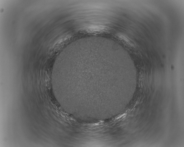 X0000067900917200604201331