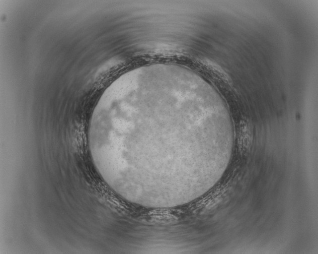 X0000067900918200604201331