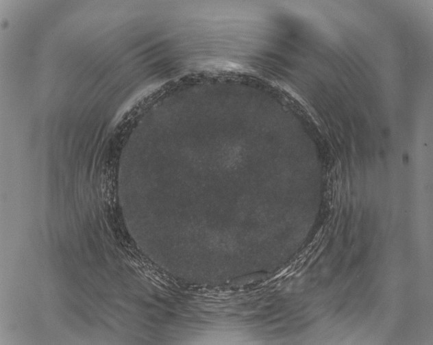 X0000067900919200604201331