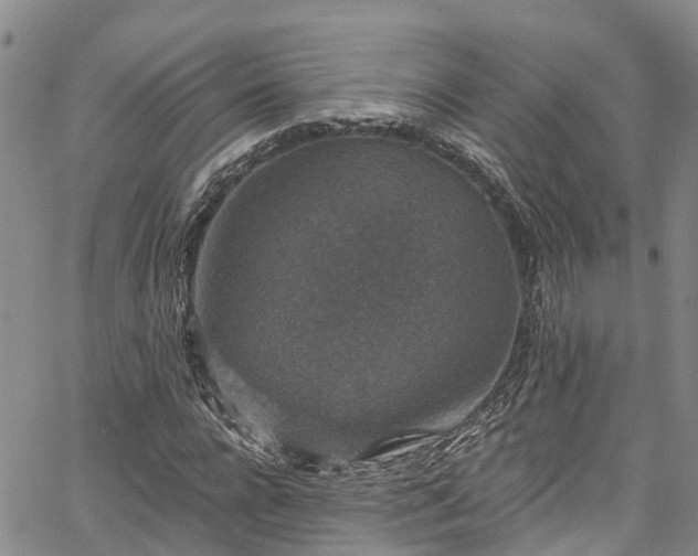 X0000067900920200604201331