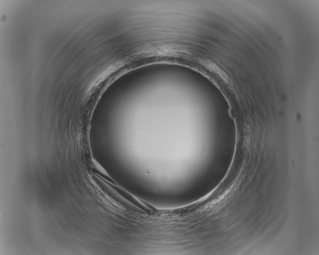 X0000067900922200604201331