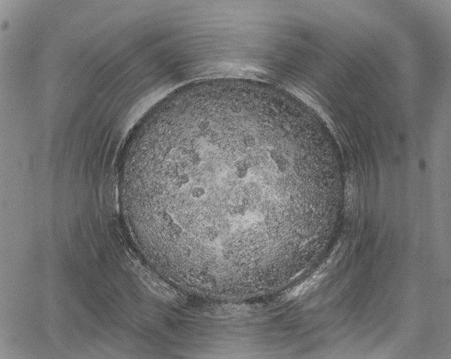 X0000067900925200604201331