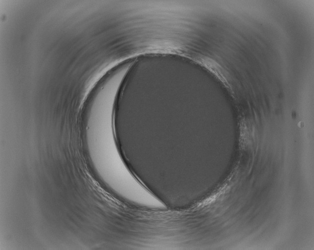 X0000067900926200604201331