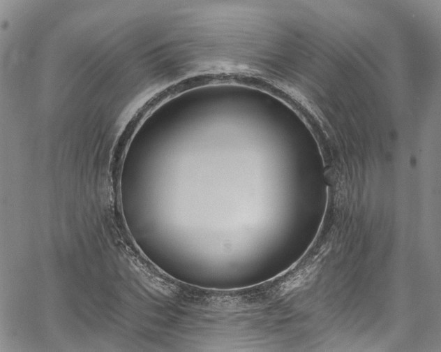 X0000067900927200604201331