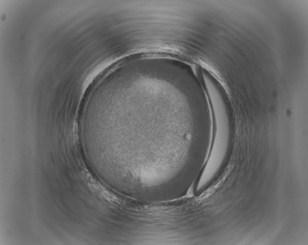 X0000067900928200604201331