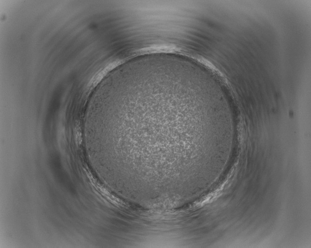 X0000067900929200604201331