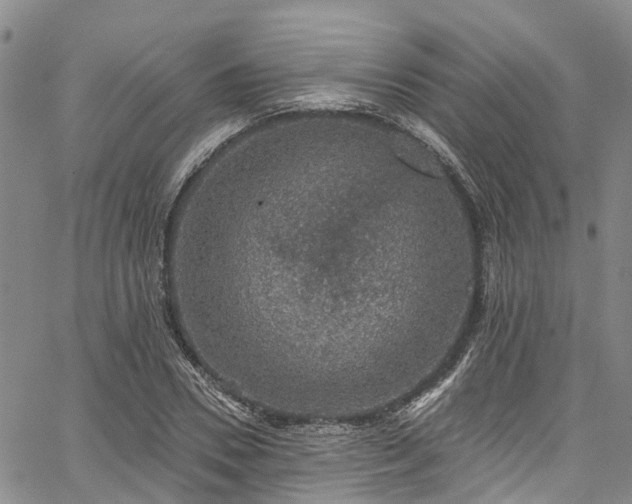 X0000067900930200604201331