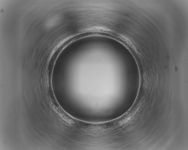 X0000067900931200604201331