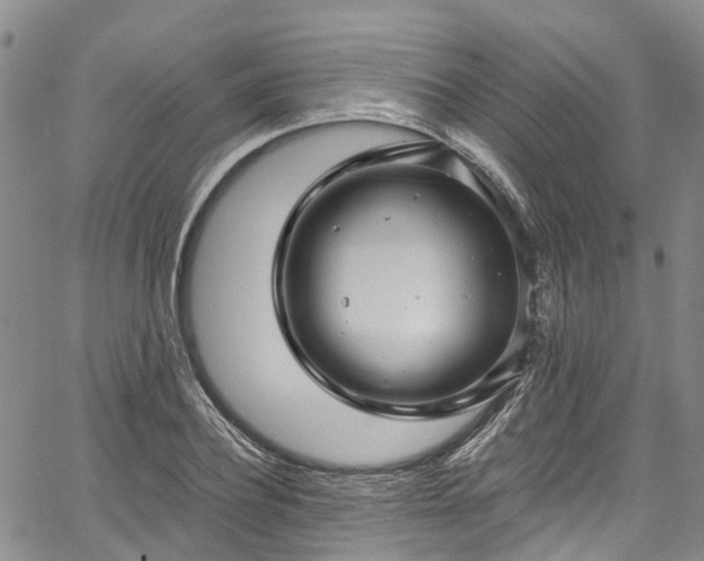 X0000067900932200604201331