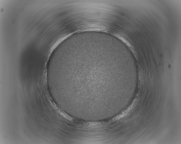 X0000067900933200604201331