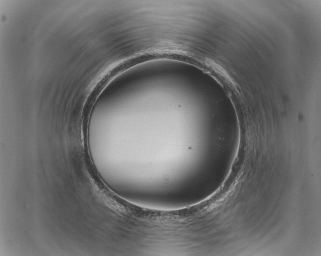 X0000067900934200604201331