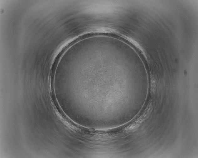 X0000067900935200604201331