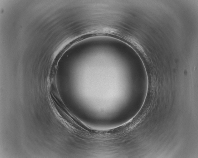 X0000067900936200604201331