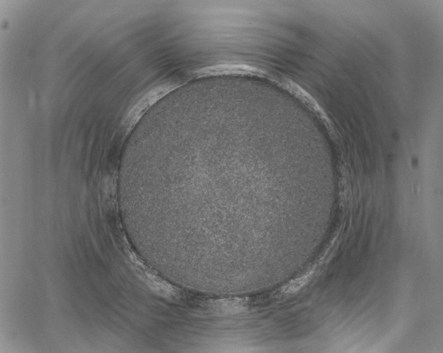 X0000067900937200604201331