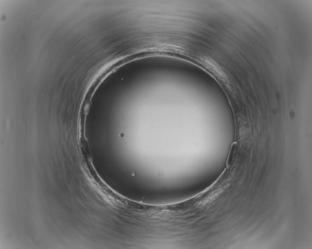 X0000067900940200604201331