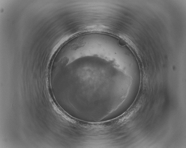 X0000067900941200604201331